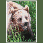 Brown Bear 02 Larger Peyote Bead Pattern PDF or Bead Kit