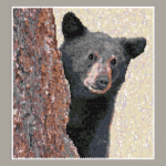 Black Bear 03 Larger Peyote Bead Pattern PDF or Bead Kit