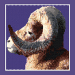 Big Horn Sheep Larger Peyote Bead Pattern PDF or Bead Kit
