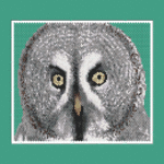 Owl 11 Larger Peyote Pattern Bead PDF or Bead Kit