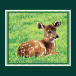 Deer 02 Larger Peyote Bead Pattern PDF or Bead Kit