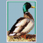 Duck Small Peyote Bead Pattern PDF or Bead Kit | Bird