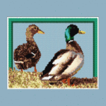 Ducks Larger Peyote Bead Pattern PDF or Bead Kit | Bird