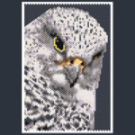 Falcon Small Peyote Bead Pattern PDF or Bead Kit