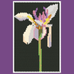 Iris Flower 02 Small Peyote Bead Pattern PDF or Bead Kit