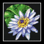 Water Lily Larger Peyote Bead Pattern PDF or Bead Kit