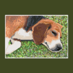 Sleeping Beagle Dog Peyote Bead Pattern PDF or Bead Kit