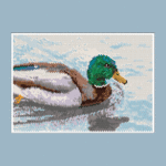 Mallard Duck Larger Peyote Bead Pattern PDF or Bead Kit