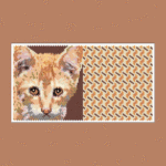 Orange Cat 02 With Back Peyote Bead Pattern PDF or Bead Kit