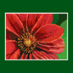 Red Flower Larger Peyote Bead Pattern PDF or Bead Kit