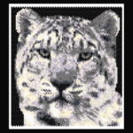 Snow Leopard 01 Larger Peyote Bead Pattern PDF or Bead Kit