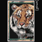 Wild Cat Series Tiger Peyote Bead Pattern PDF or Bead Kit