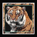 Wild Cat Series Tiger Larger Peyote Bead Pattern PDF or Bead Kit