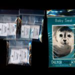 baby seal small panel peyote seed bead pattern pdf or kit diy maddiethekat designs 2