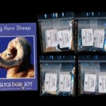 Big Horn Sheep Larger Panel Peyote Bead Pattern PDF or KIT DIY-Maddiethekat Designs