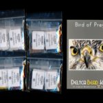 Bird of Prey Larger Panel Peyote Bead Pattern PDF or KIT DIY Hawk-Maddiethekat Designs