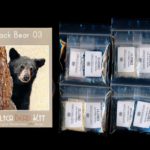 Black Bear 03 Larger Panel Peyote Bead Pattern PDF or KIT DIY-Maddiethekat Designs