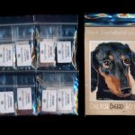 black dachshund dog small panel peyote seed bead pattern pdf or kit diy maddiethekat designs 2