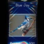 Blue Jay Larger Panel Peyote Seed Bead Pattern PDF or KIT DIY Bird-Maddiethekat Designs