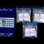 Blue Jay Tiny Mini Amulet Bag Peyote Seed Bead Pattern PDF or KIT DIY Bird-Maddiethekat Designs