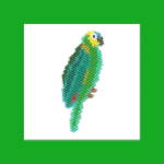 Amazon Parrot Brick Stitch Bead Pattern PDF or Bead Kit | Bird