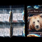 brown bear 01 small panel peyote seed bead pattern pdf or kit diy maddiethekat designs 2