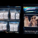camel larger panel peyote bead pattern pdf or kit diy maddiethekat designs 2