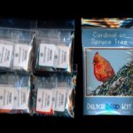 cardinal on spruce tree larger panel peyote seed bead pattern pdf or kit diy bird maddiethekat designs 2