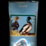 Ducks Larger Panel Peyote Seed Bead Pattern PDF or KIT DIY Bird-Maddiethekat Designs