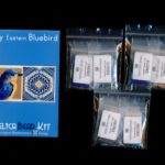 Eastern Bluebird Tiny Mini Amulet Bag Peyote Seed Bead Pattern PDF or KIT DIY-Maddiethekat Designs