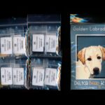 golden labrador dog small panel peyote seed bead pattern pdf or kit diy maddiethekat designs 2