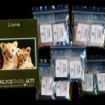 Lions Larger Panel Peyote Seed Bead Pattern PDF or KIT DIY-Maddiethekat Designs