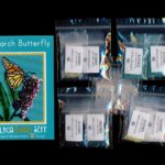 Monarch Butterfly Larger Panel Peyote Seed Bead Pattern PDF or KIT DIY Insect-Maddiethekat Designs