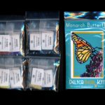 monarch butterfly small panel peyote seed bead pattern pdf or kit insect maddiethekat designs 2