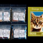 Orange Cat 01 Small Panel Peyote Seed Bead Pattern PDF or KIT DIY-Maddiethekat Designs