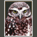 Owl 04 Larger Peyote Bead Pattern PDF or Bead Kit