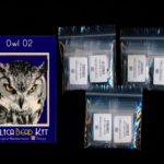 Owl 02 Small Panel Peyote Seed Bead Pattern PDF or KIT DIY Bird-Maddiethekat Designs