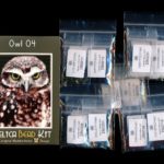 Owl 04 Larger Panel Peyote Seed Bead Pattern PDF or KIT DIY Bird-Maddiethekat Designs