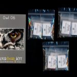 Owl 06 Small Panel Peyote Seed Bead Pattern PDF or KIT DIY Bird-Maddiethekat Designs