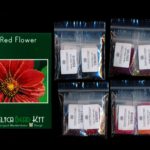 Red Flower Larger Panel Seed Bead Peyote Pattern PDF or KIT DIY-Maddiethekat Designs