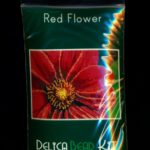 Red Flower Larger Panel Seed Bead Peyote Pattern PDF or KIT DIY-Maddiethekat Designs