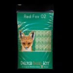 Red Fox 02 with Back Amulet Bag Peyote Seed Bead Pattern or KIT-Maddiethekat Designs