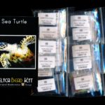 Sea Turtle Larger Panel Peyote Bead Pattern PDF or KIT DIY-Maddiethekat Designs