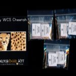 Wild Cat Series Cheetah Tiny Mini Amulet Bag Peyote Seed Bead Pattern PDF or KIT DIY-Maddiethekat Designs